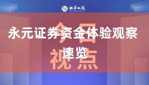永元证券资金体验观察 速览