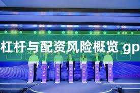 杠杆与配资风险概览 gp